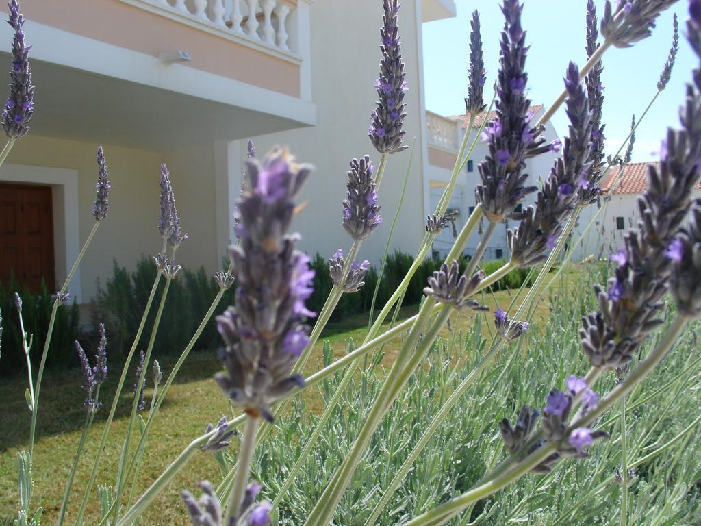 Anemos Apartments Marathókampos エクステリア 写真